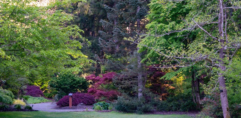 Wilderness Arboretum, United States